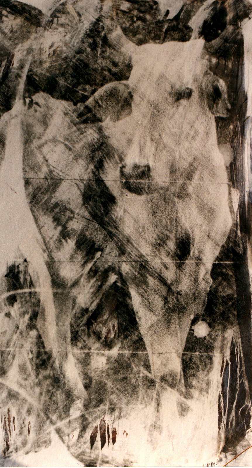 Luz Líquida II — 19942.00m x 1.40m Emulsão fotográfica sobre tela preparada — Fabio Crisanti